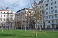 Anabelle Bed And Budapest